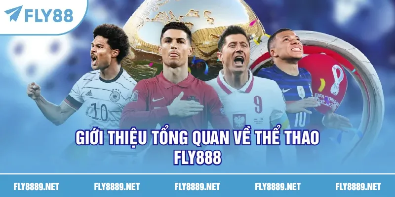 Giới thiệu tổng quan về thể thao FLY888